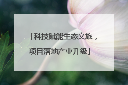 科技赋能生态文旅，项目落地产业升级