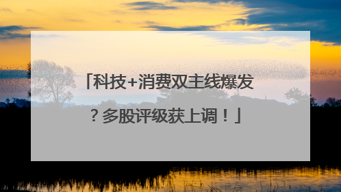 科技+消费双主线爆发？多股评级获上调！