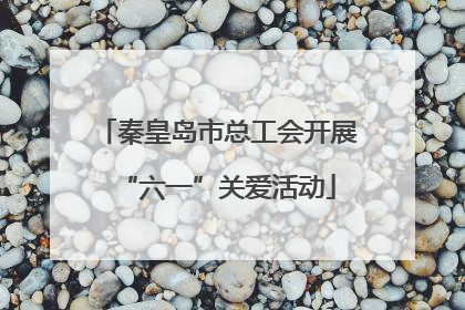 秦皇岛市总工会开展“六一”关爱活动