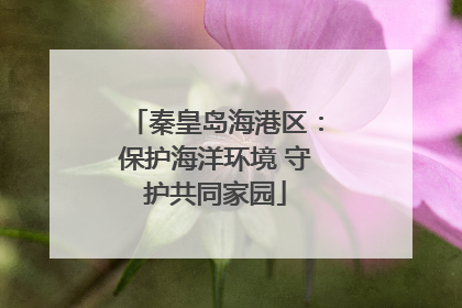 秦皇岛海港区：保护海洋环境 守护共同家园