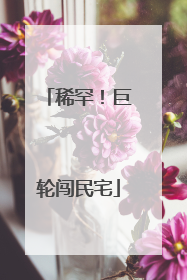 稀罕！巨轮闯民宅