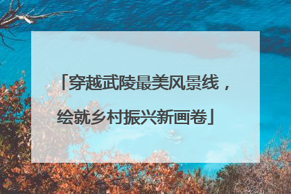 穿越武陵最美风景线，绘就乡村振兴新画卷
