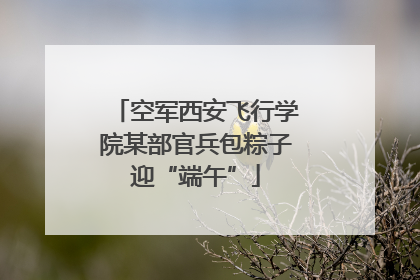 空军西安飞行学院某部官兵包粽子迎“端午”