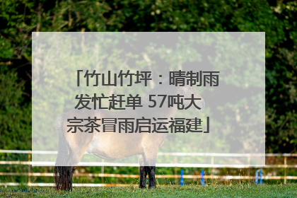 竹山竹坪：晴制雨发忙赶单 57吨大宗茶冒雨启运福建