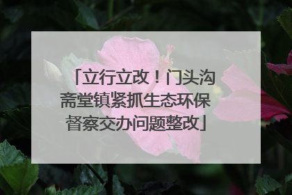 立行立改！门头沟斋堂镇紧抓生态环保督察交办问题整改