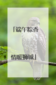 端午粽香 情暖狮城
