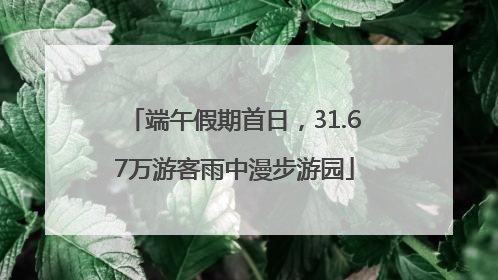 端午假期首日，31.67万游客雨中漫步游园