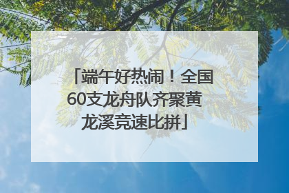 端午好热闹！全国60支龙舟队齐聚黄龙溪竞速比拼