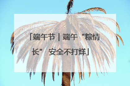 端午节｜端午“粽情长” 安全不打烊