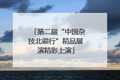 第二届“中国杂技北疆行”精品展演精彩上演