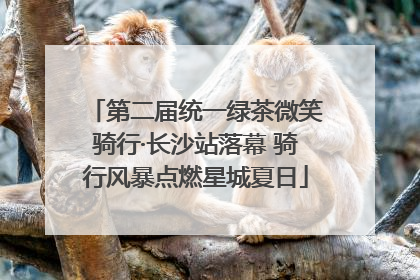 第二届统一绿茶微笑骑行·长沙站落幕 骑行风暴点燃星城夏日