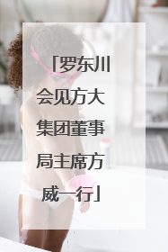 罗东川会见方大集团董事局主席方威一行