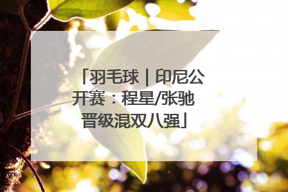羽毛球｜印尼公开赛：程星/张驰晋级混双八强