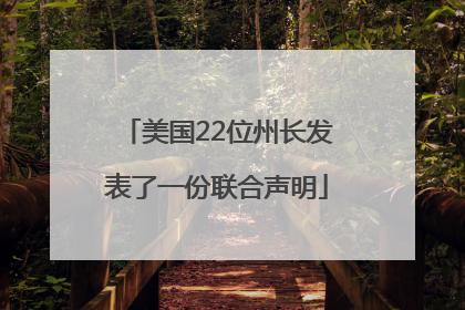 美国22位州长发表了一份联合声明