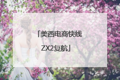 美西电商快线ZX2复航