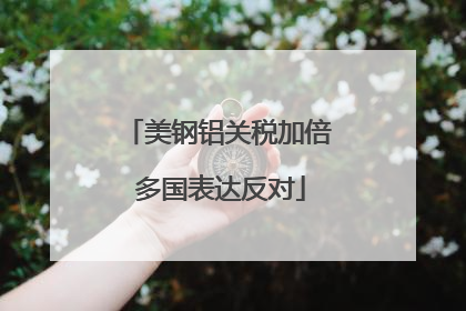 美钢铝关税加倍 多国表达反对