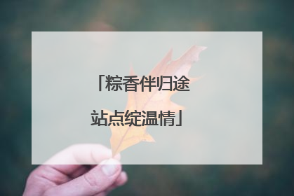 粽香伴归途 站点绽温情