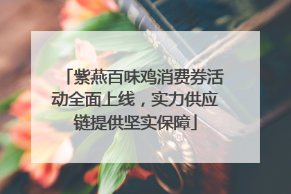 紫燕百味鸡消费券活动全面上线，实力供应链提供坚实保障