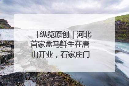 纵览原创｜河北首家盒马鲜生在唐山开业，石家庄门店预计8月开业