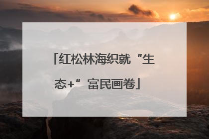 红松林海织就“生态+”富民画卷