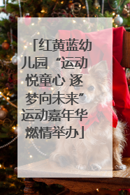 红黄蓝幼儿园“运动悦童心 逐梦向未来”运动嘉年华燃情举办
