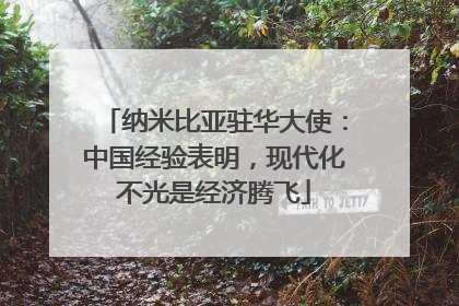 纳米比亚驻华大使：中国经验表明，现代化不光是经济腾飞