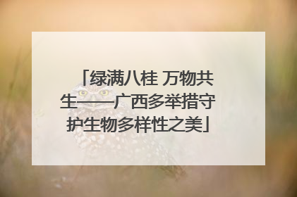 绿满八桂 万物共生——广西多举措守护生物多样性之美