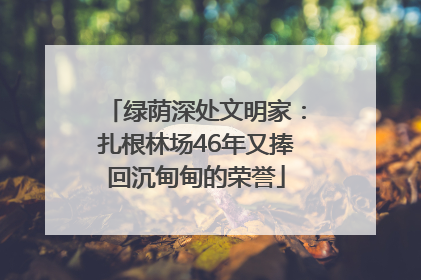 绿荫深处文明家：扎根林场46年又捧回沉甸甸的荣誉