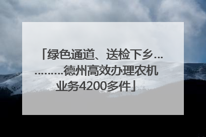 绿色通道、送检下乡…………德州高效办理农机业务4200多件