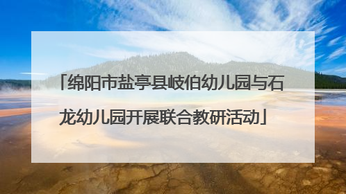 绵阳市盐亭县岐伯幼儿园与石龙幼儿园开展联合教研活动