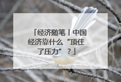 经济随笔丨中国经济靠什么“顶住了压力”？