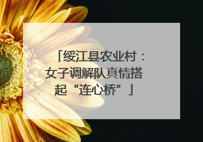 绥江县农业村：女子调解队真情搭起“连心桥”