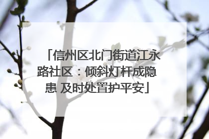 信州区北门街道江永路社区：倾斜灯杆成隐患 及时处置护平安