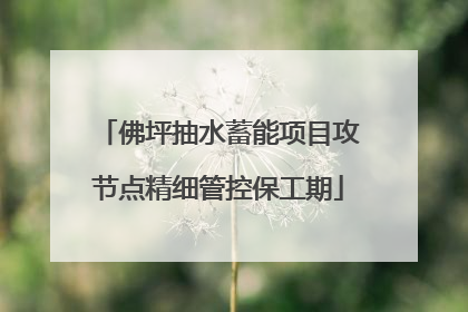佛坪抽水蓄能项目攻节点精细管控保工期