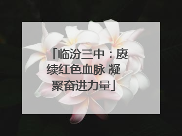 临汾三中：赓续红色血脉 凝聚奋进力量