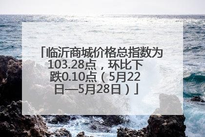 临沂商城价格总指数为103.28点，环比下跌0.10点（5月22日—5月28日）