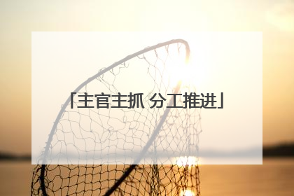 主官主抓 分工推进