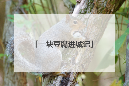 一块豆腐进城记