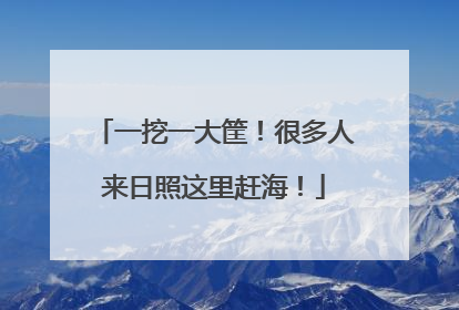 一挖一大筐！很多人来日照这里赶海！