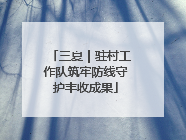 三夏｜驻村工作队筑牢防线守护丰收成果