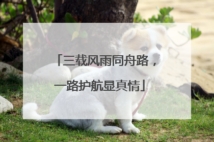 三载风雨同舟路，一路护航显真情