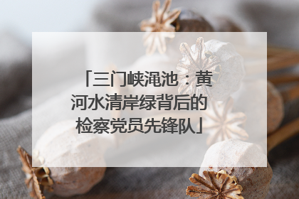 三门峡渑池：黄河水清岸绿背后的检察党员先锋队