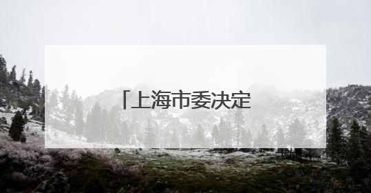 上海市委决定：张鸣履新