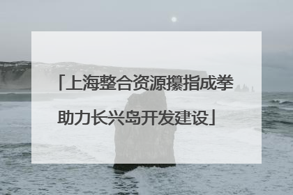 上海整合资源攥指成拳助力长兴岛开发建设