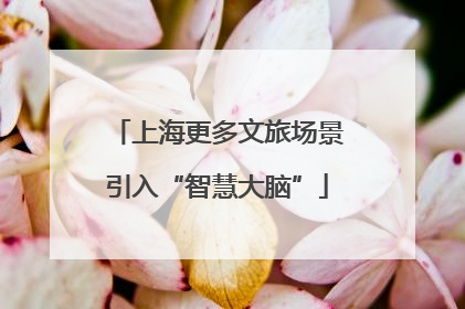 上海更多文旅场景引入“智慧大脑”