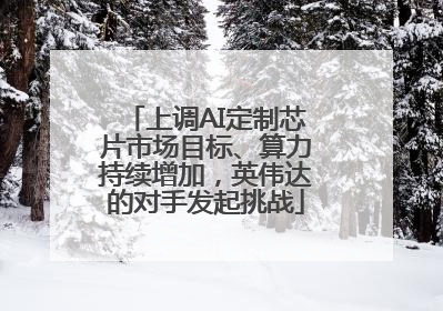 上调AI定制芯片市场目标、算力持续增加，英伟达的对手发起挑战
