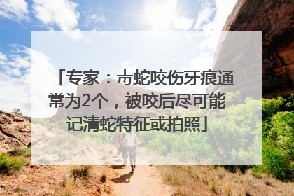 专家：毒蛇咬伤牙痕通常为2个，被咬后尽可能记清蛇特征或拍照