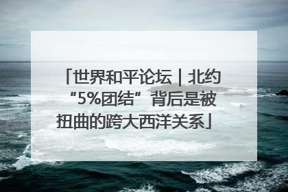 世界和平论坛｜北约“5%团结”背后是被扭曲的跨大西洋关系