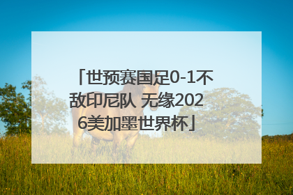 世预赛国足0-1不敌印尼队 无缘2026美加墨世界杯