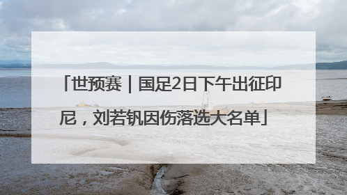 世预赛｜国足2日下午出征印尼，刘若钒因伤落选大名单